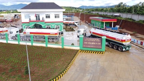 DDS PETRO